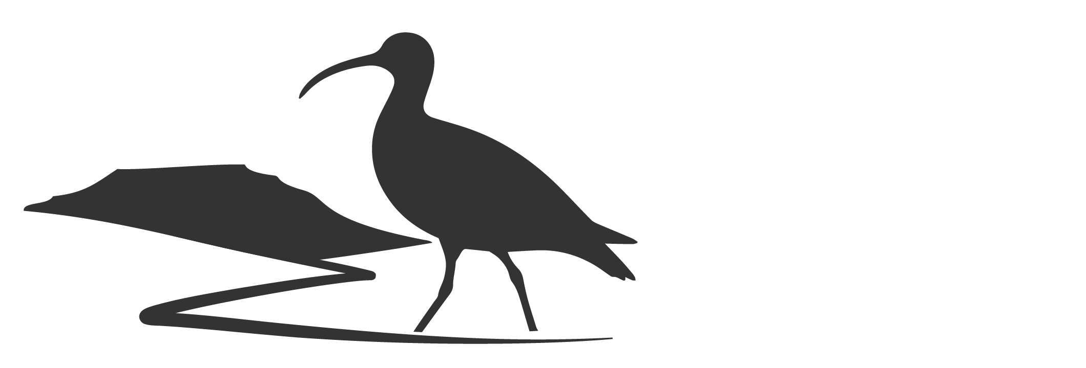 Clapham Curlew Cluster